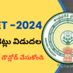 AP TET Hall Ticket Download 2024:http://cse.ap.gov.in, డౌన్లోడ్ విధానం మరియు పరీక్షా షెడ్యూల్